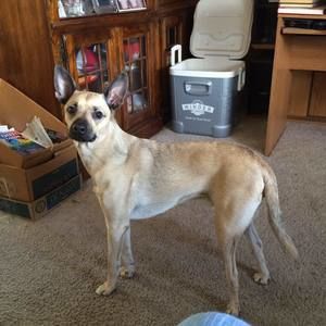 Meet your Posher, Kathy